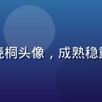桃红视频联合创始人林晓桐头像，成熟稳重的中年男性，专业感强